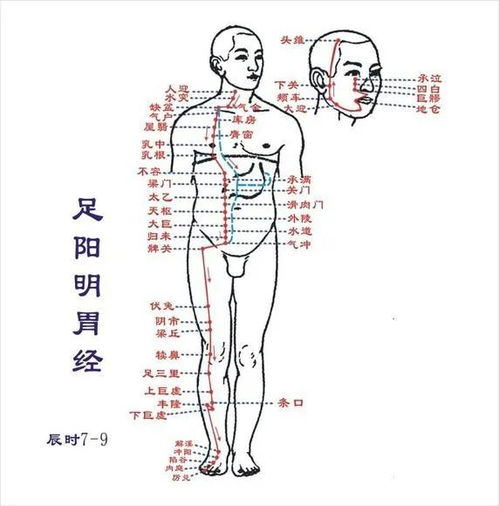 奇难杂症调三焦 结节肿瘤通胆经 体弱多汗灸任脉....