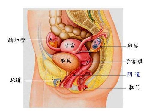 女性子宫被摘除后,会影响夫妻生活吗 听听医生怎么说