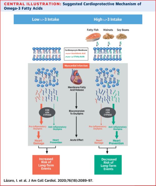 探索 富含Omega 3脂肪酸食物可改善STEMI患者预后