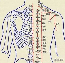 艾灸养生,9套艾灸方案,差不多能把你全身的毛病调理好 顾然 谢氏艾灸学堂 前天