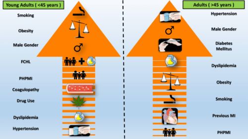 中青年男士 吸烟和肥胖 年轻心梗高危人群 最新综述