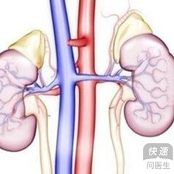 脚可以看出肾脏是否健康 3种方法教你养肾