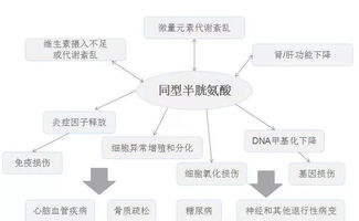 基因解读 NO.28 同型半胱氨酸是必检项目,脑卒中风险早知道