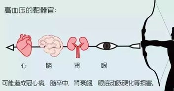 限时招募 杨浦区 体医融合 高血压健康管理公益项目又来啦