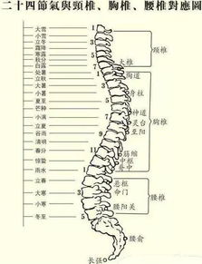 二十四节气养生之立冬 虚则补之,寒则温之 