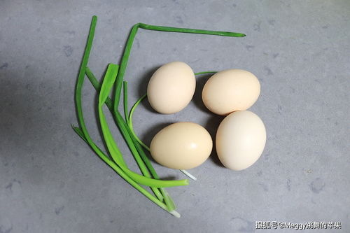 鸡蛋的别致吃法,4个蛋摊7张蛋皮卷成筒,香嫩多汁特别显厨艺