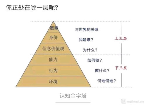 人的人知的分为几个层次