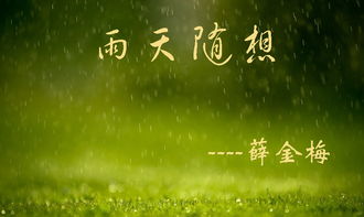 雨天随想