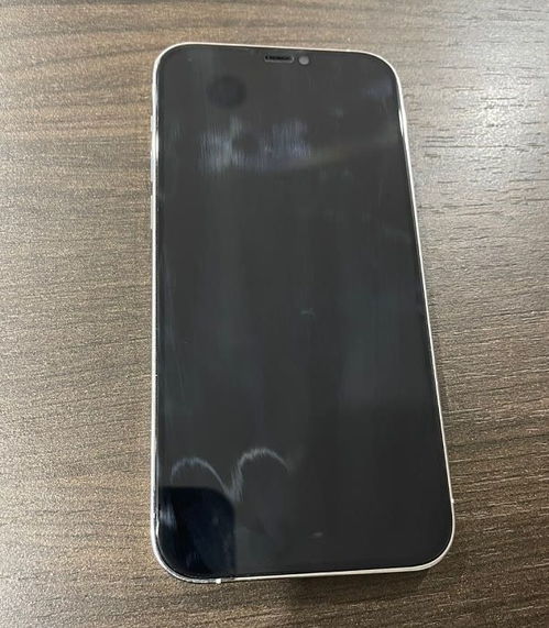 网友5300入手iPhone12Pro,不比iPhone13香