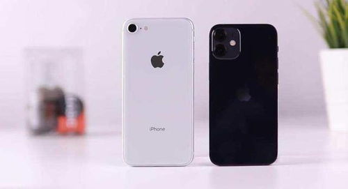 iPhone12mini对比iPhone8,网友是否还在坚持