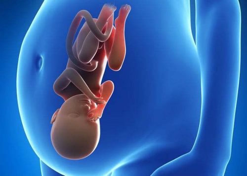 孕期如何补钙 补钙会导致胎盘老化吗