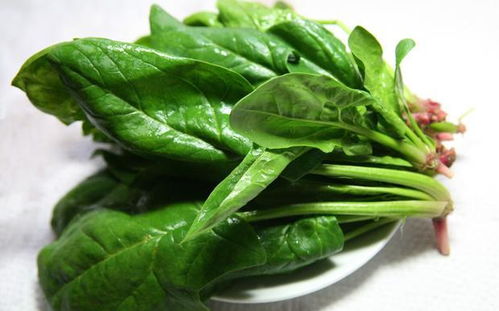 叶酸最初是从菠菜中提炼而来,含叶酸高的3种食物,准妈妈要多吃