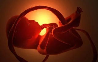 胎儿发育大小和孕周数不符 我该怎么办