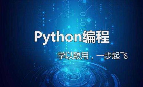 Python自学规划,如何一步步学习编程