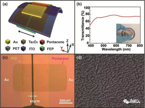 Nano Energy 柔性透明摩擦电子学晶体管及主动式电子器件调控 附视频