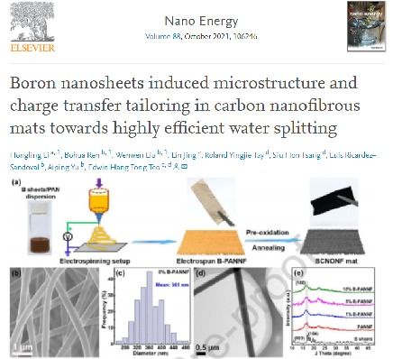 Nano Energy 期刊2021年 1 8月关于 静电纺丝 最新研究进展