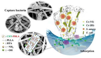 基于立构复合晶的可重复使用抗菌性纳米纤维膜用于去除重金属离子