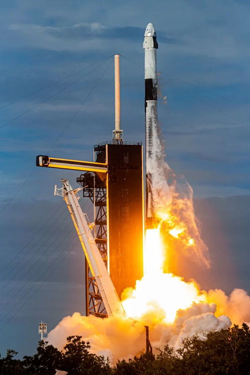SpaceX自定义高能释放元年,2023年发射量超70次