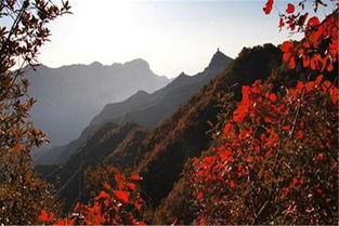 山西云丘山风景区门票价格 山西云丘山风景区门票团购 预订 