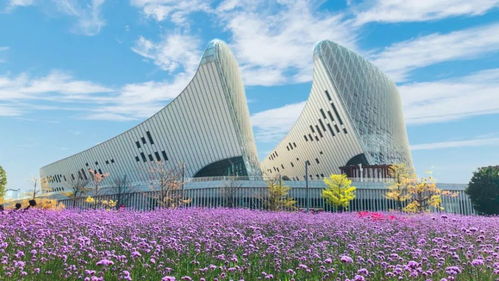 中建海峡全力保障第44届世界遗产大会开幕式