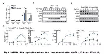 三天内,国内科学家发了5篇Nature Science和Cell