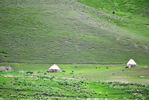 新疆有多美 我来告诉你 伊犁五月的天堂景色