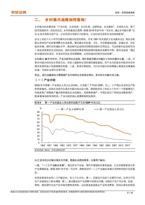 乡村振兴专题研究系列三 乡村振兴 战略如何落地 附下载