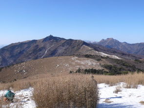 东坪沟高山草甸 