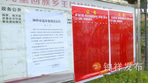 李定建检查各地选民名单张榜公布工作