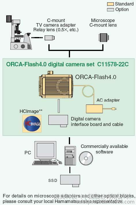 HAMAMATSU 滨松ORCA Flash4.0 CMOS相机 