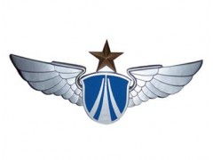 空军军徽 