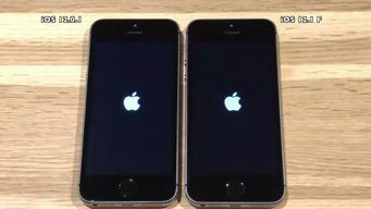 iPhone5S升级哪个系统好 iOS12.1 iOS12.0.1各方对比