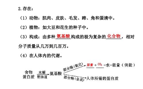 12.1 课题1 人类重要的营养物质 