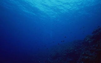 为什么说深海探索比探索太空还难,人类对大海的研究还不及太空