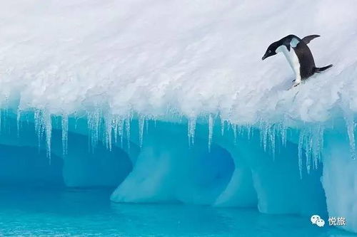 揭秘 从南极看全球变暖,情况可能比你想象的更严重 