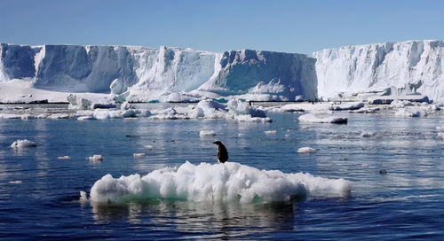 NASA 全球变暖导致南极冰川融化速度加快,霍金预言或将应验