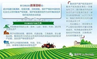 农村集体产权改革落子 经营性资产5年完成股份合作制 