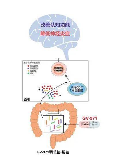 降价超60 阿尔茨海默病患者福音来了