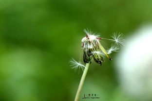 端午假期习作1 雨后试镜