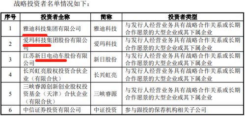 铅电池 大神 天能股份IPO路演 4 1 战略配售成亮点 2020年营收减利润增