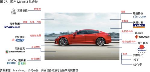 深度 特斯拉将在中国市场实现对燃油车的降维打击 兴证电新 曾英捷 朱玥