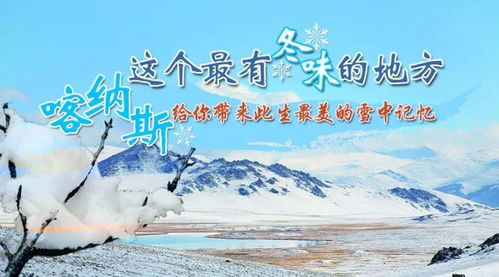 这个最有冬味的地方,喀纳斯,给你带来此生最美的雪中记忆 