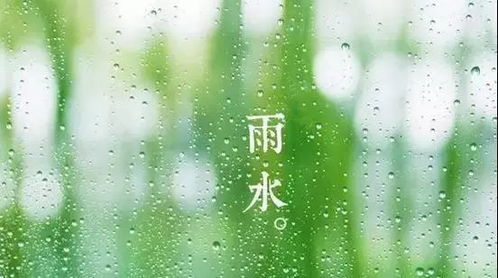 雨水 迎一场春雨,等一片春暖花开