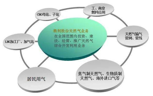 胜利股份牵手中油投资,自然人许铁良欲7.9亿元拿下控制权