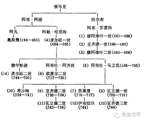 白衣大食有多强 东方战略让它成为横跨欧亚非三大洲的超级大帝国