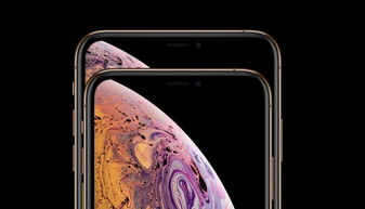 新机发布就下架 iPhoneX要绝版