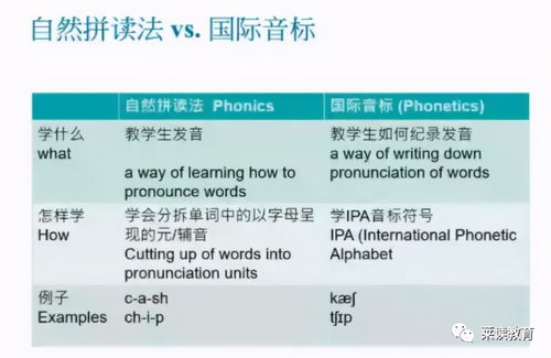 自然拼读VS国际音标哪个更科学 你的孩子学对了吗