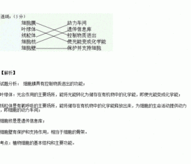 将细胞的各部分结构与它们对应的功能连接起来细胞膜 动力车间 叶绿体 遗传信息库 线粒体 控制物质进出细胞核 使光能变成化学能 细胞壁 保护并支持细胞 题目和参考答案 