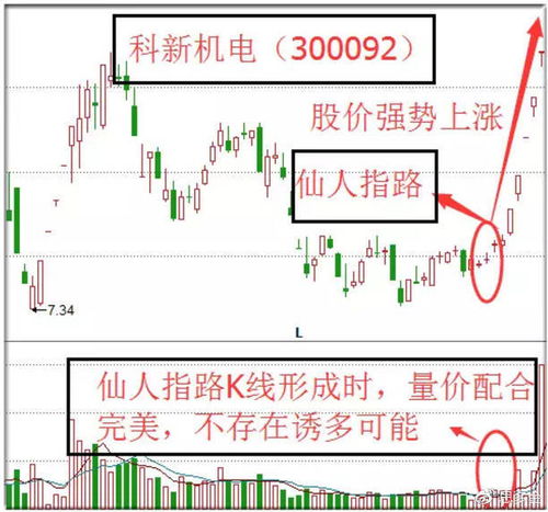 指引者 五大经典的K线形态,帮你更好把握黄金走势 