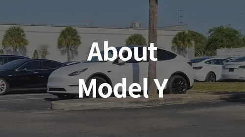 你的 Model Y 已发货